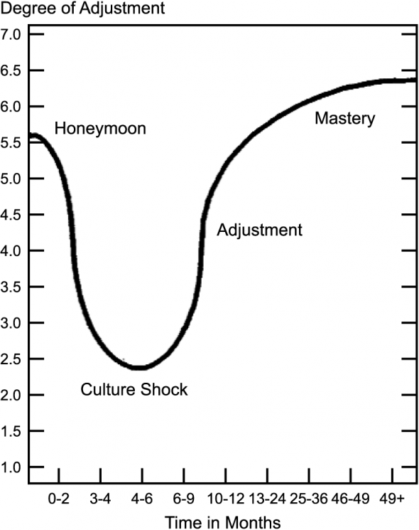 The U-Curve of Cultural Adaptation in CityKinder German Blog CityExperten