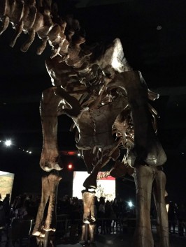 Titanosaurus