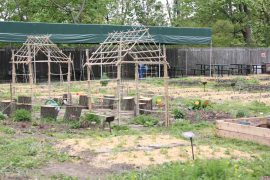 Childrens Garden at Brooklyn Botanic Garden in CityKinder German Blog CityErleben Article