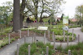 Discovery Garden at Brooklyn Botanic Garden in CityKinder German Blog CityErleben Article