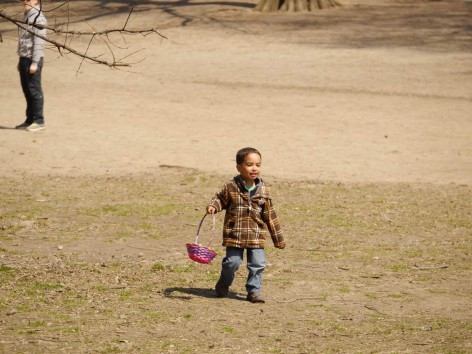 Easter Egg Hunt Session II