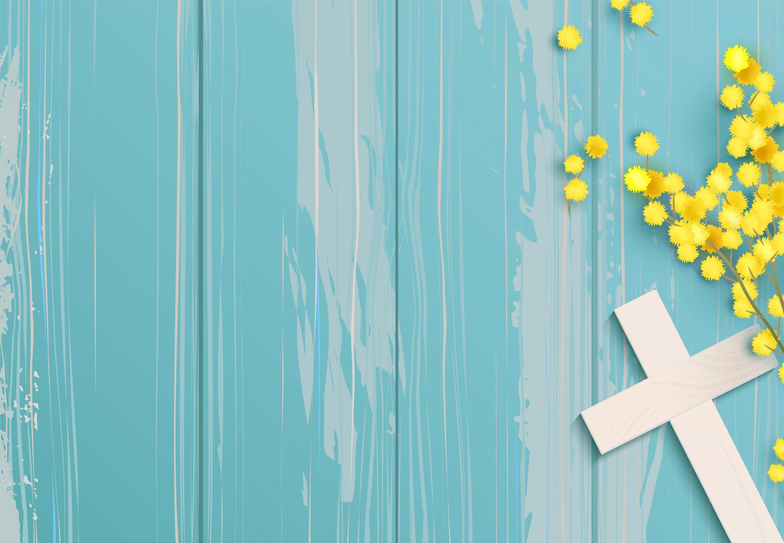 For Families CityKinder