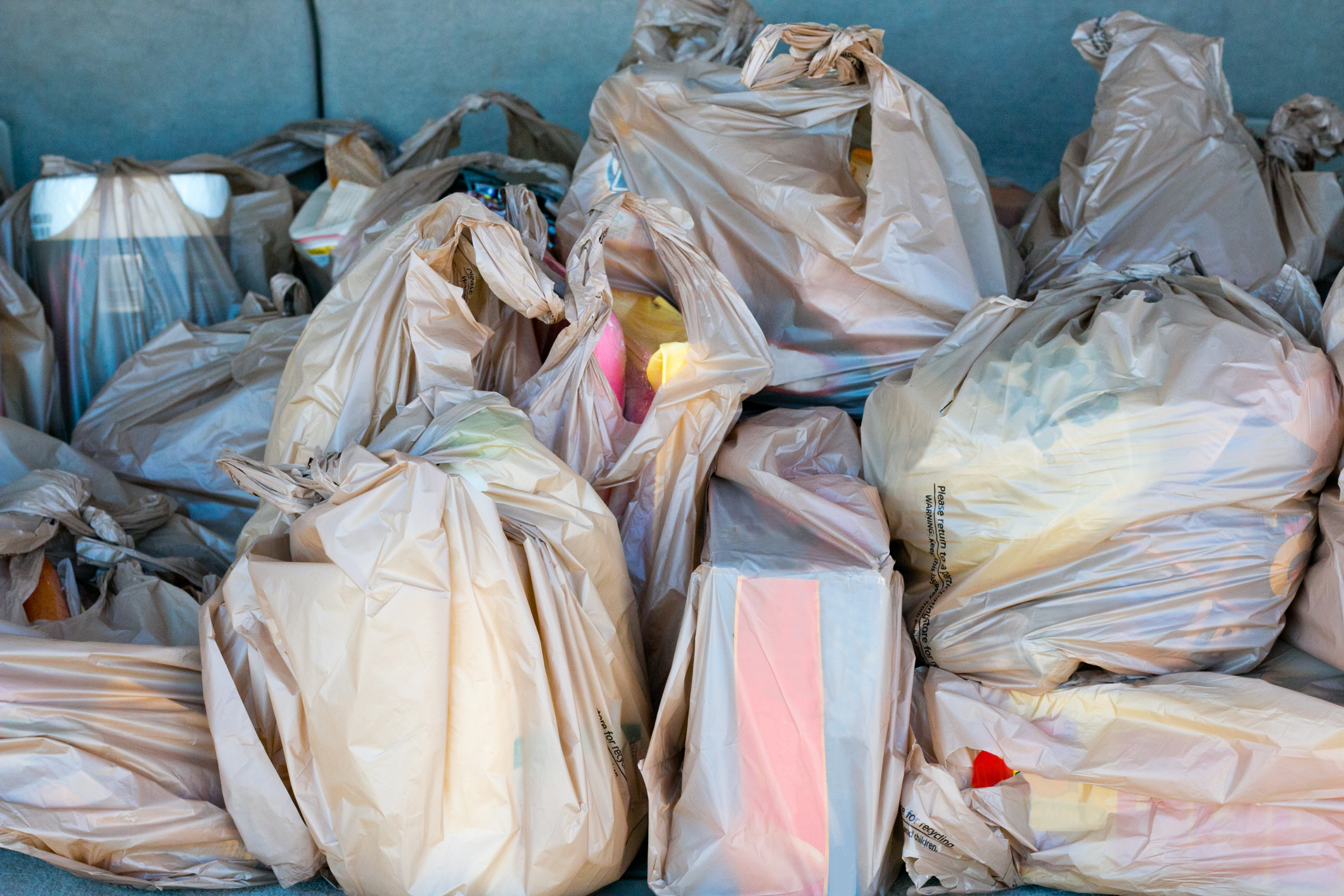 Plastic Bag Ban in NYC Starting Soon! CityKinder